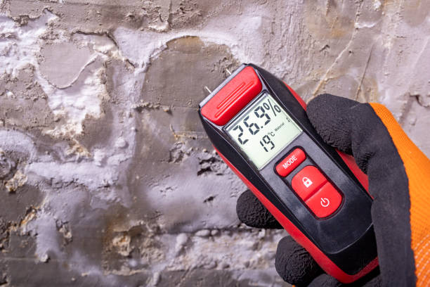 Best Office Mold Removal Services  in Watsessing, NJ