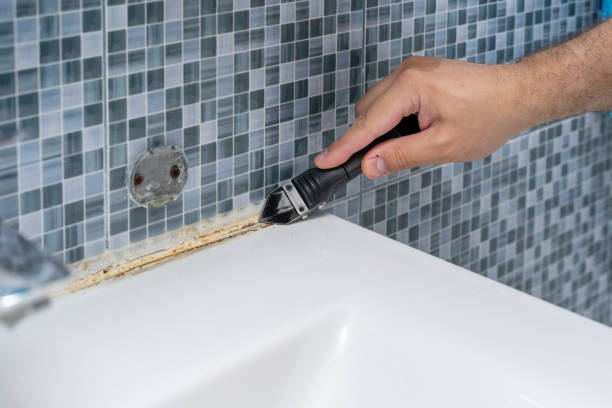 Best Mold Removal Company Near Me  in Watsessing, NJ