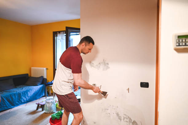 Best Toxic Mold Removal  in Watsessing, NJ