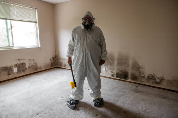 Best Home Mold Removal  in Watsessing, NJ